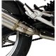 BMW F 900 R 20-21 RC SLIP ON - RACE XTREM CARBON