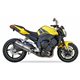 YAMAHA FZ-1 06-14 (RN16) SOVE SLIP ON - HEXOVAL XTREM EVOLUTION