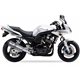 YAMAHA FZS 600 FAZER 98-03 (RJ02) SOVE SLIP ON - HEXOVAL XTREM EVOLUTION