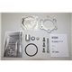 YAMAHA YZF 1000 THUNDERICE (45V) SOVE BOLT ON - HEXOVAL XTREM EVOLUTION