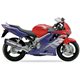 HONDA CBR 600 F 99-00 (PC35) SOVE SLIP ON - HEXOVAL XTREM EVOLUTION