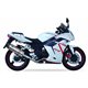 DAELIM ROADWIN 125 (VJ125) SOVE BOLT ON - HEXOVAL XTREM EVOLUTION