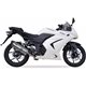 KAWASAKI NINJA 250 R 08-12 (EX250K) SOVE SLIP ON - HEXOVAL XTREM EVOLUTION