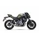 KAWASAKI Z 650 - NINJA 650 17-19 (ER650H,ER650HA2,EX650K,EX650KA2) RC FULL SYSTEM - RACE XTREM CARBON