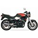 TRIUMPH DAYTONA T357 SOVE SLIP ON (LEFT MUFFLER) - HEXOVAL XTREM EVOLUTION