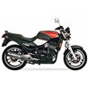 TRIUMPH DAYTONA T357 SOVE SLIP ON (LEFT MUFFLER) - HEXOVAL XTREM EVOLUTION
