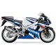 SUZUKI GSX 1000 R 01-04 (WVBL) SOVE SLIP ON - HEXOVAL XTREM EVOLUTION