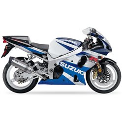 SUZUKI GSX 1000 R 01-04 (WVBL) SOVE SLIP ON - HEXOVAL XTREM EVOLUTION