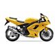 TRIUMPH T 955 i SPEED TRIPLE - DAYTONA 98-01 (TE) SOVE SLIP ON - HEXOVAL XTREM EVOLUTION