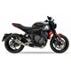 TRIUMPH TRIDENT 660 2021 RC FULL SYSTEM - RACE XTREM CARBON