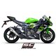 KAWASAKI NINJA ZX-6R 636 (2019 - 2021) Escape S1 titanio