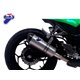 KAWASAKI NINJA 300 SILENCIOSO RELEVANCE CARBONO TERMIGNONI
