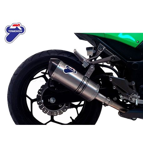 KAWASAKI NINJA 300 SILENCIOSO RELEVANCE CARBONO TERMIGNONI