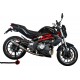 Aprilia tuono 1000 v4 r-std 2011/14 gpr gpe ann.poppy