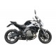 Bmw r 1200 r 2011/14 gpr furore carbon