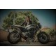 Honda vtr 1000 f firestorm 1997/07 gpr gpe ann.titanium