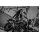 Honda vtr 1000 f firestorm 1997/07 gpr gpe ann.titanium