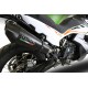 Kawasaki versys-x 300 2017/19 e4 gpr m3 titanium natural 