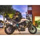 Moto guzzi griso 850 2006/15 gpr trioval