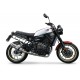 Suzuki sv 650 - s 2003/10 gpr dual carbon