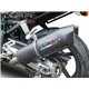 Aprilia rsv 1000 r-factory 2006/10 gpr m3 carbon 