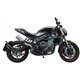 Aprilia tuono v4 1100-rr 2015/16 gpr furore carbon