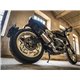 Buell s1 lightning gpr gpe ann.titanium