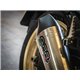 Buell s1 lightning gpr gpe ann.titanium