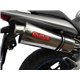 Ducati multistrada 1200 2010/14 gpr satinox 