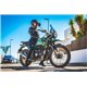 Ktm duke 125 2017/19 e4 gpr deeptone inox