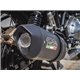 Ktm rc 125 2014/16 gpr albus ceramic