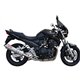Ktm duke 250 2017/19 e4 gpr deeptone inox