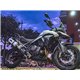 TRIUMPH TIGER 900 2020 - 2023 ESCAPE GPR ALBUS EVO4 SISTEMA HOMOLOGADO