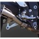 Triumph sprint rs 955 1998/02 gpr furore carbon