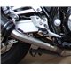 Triumph speed triple 1050 2016/19 e4 gpr m3 titanium natural 