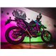 Triumph tiger 1050 2007/12 gpr albus ceramic