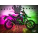 Triumph tiger 1050 2007/12 gpr trioval