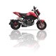 BENELLI TNT 125 - T 125 L2X SLIP ON - DUAL HYPERLOW