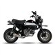 HONDA MONKEY 125 18-20 RCS FULL SYSTEM - CONICAL XTREM INOX