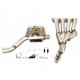 HONDA CB 650 R 2021 (RH02 RH08) RCR FULL SYSTEM - ROUND CARBON XTREM