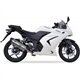 KAWASAKI NINJA 250 R 08-12 (EX250K) SOVE SLIP ON - HEXOVAL XTREM EVOLUTION