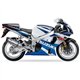 SUZUKI GSX 1000 R 01-04 (WVBL) SOVE SLIP ON - HEXOVAL XTREM EVOLUTION