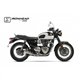 TRIUMPH BONNEVILLE T100 / BLACK 18-20 (DB01) OVC11SS SLIP ON (LEFT MUFFLER) - IRONHEAD CONICAL MATT INOX