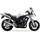 YAMAHA FZS 600 FAZER 98-03 (RJ02) SOVE SLIP ON - HEXOVAL XTREM EVOLUTION