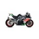 APRILIA RSV 4 RR / RF 2017 - 2018 RACE-TECH ARROW