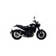 BENELLI LEONCINO 500 2017 - 2020 PRO-RACE ARROW