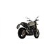 BENELLI LEONCINO 800 2022 - 2024 PRO-RACE ARROW