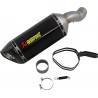 Kawasaki z 900 abs carbon fiber akrapovic