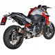 Bmw f 900 r abs carbon fiber akrapovic