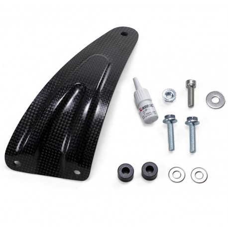 Aprilia tuono v4 1100 rr abs carbon fiber akrapovic